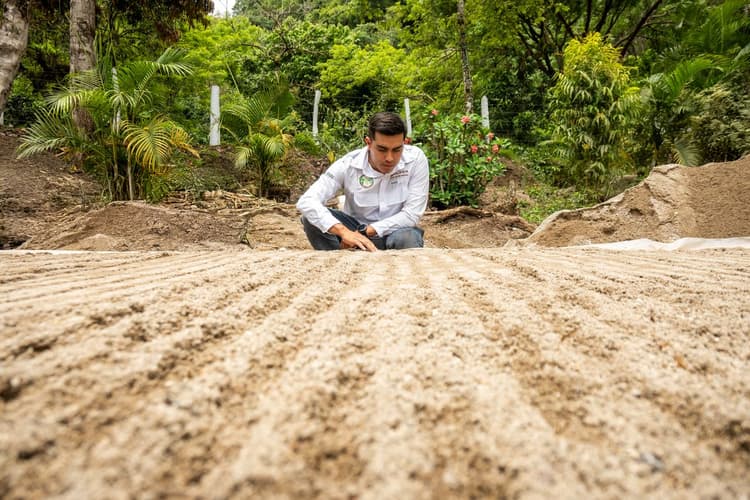 Propagate endemic plants to reverse biodiversity loss
