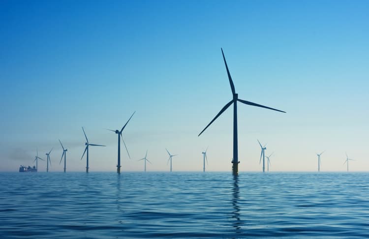 Enhance marine life with floating wind farm project