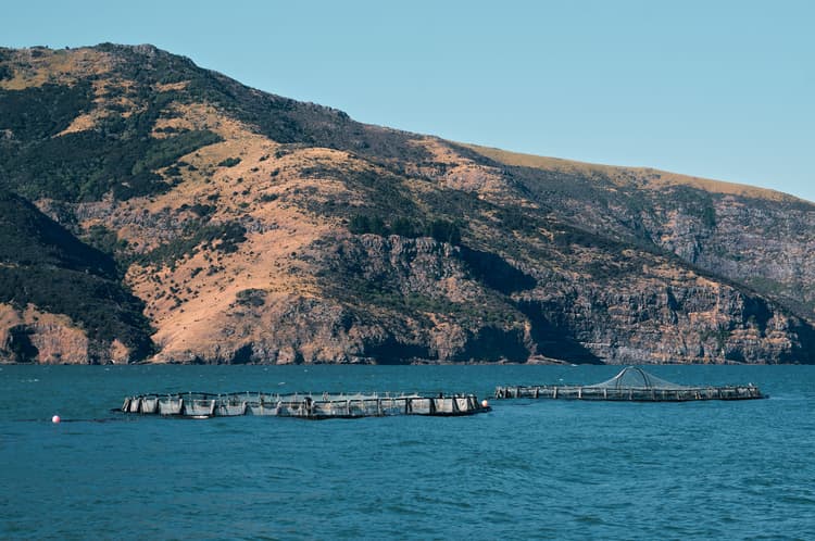 Issue a blue bond to fund marine and coastal projects