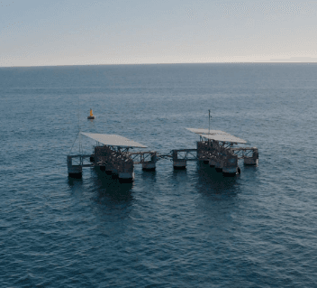 Deploy high wave-resilient offshore floating solar