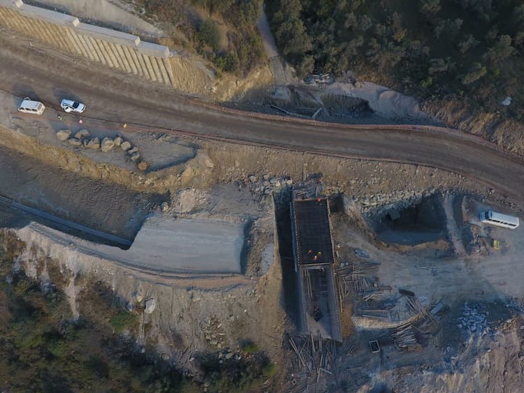 Protect new endemic species found on infrastructure sites