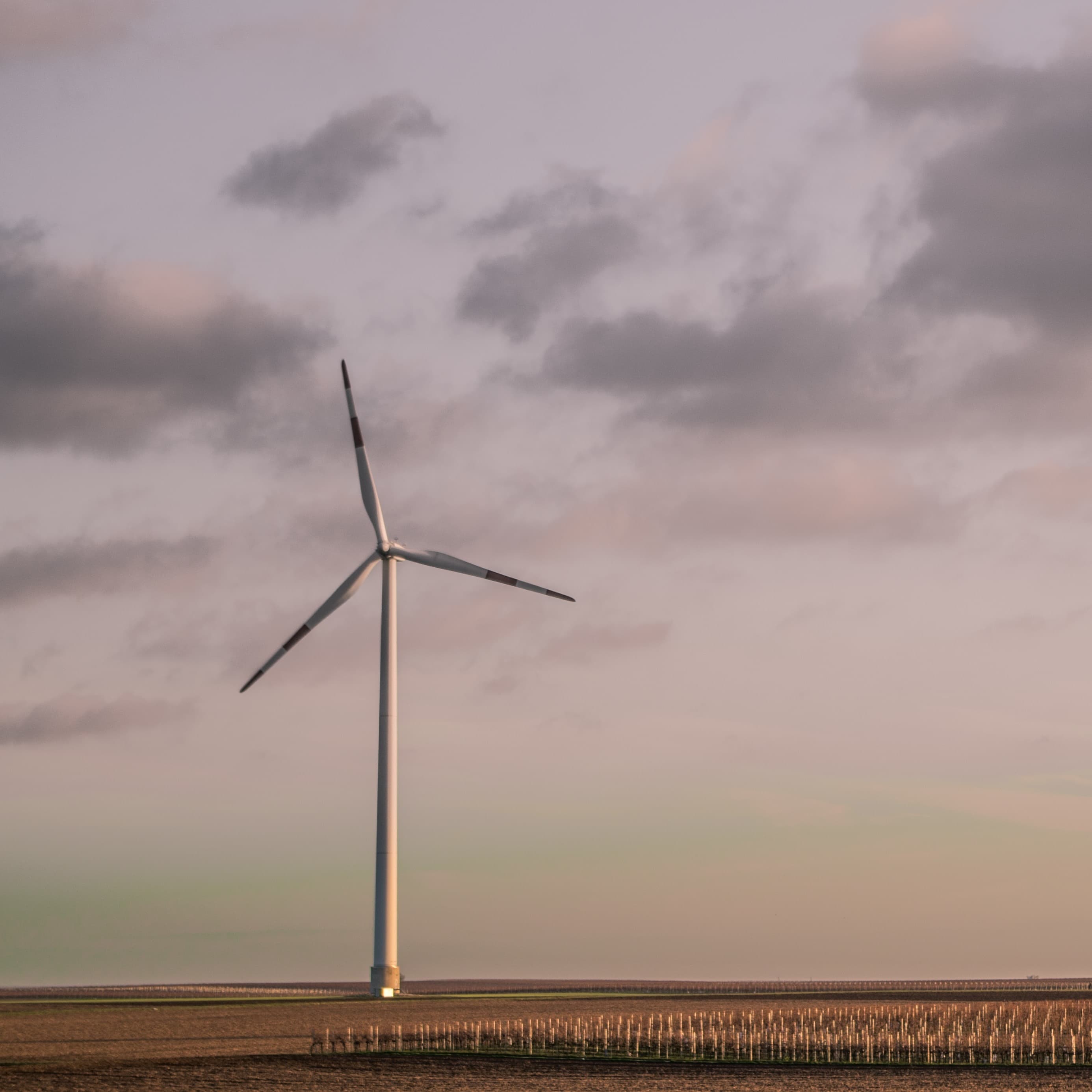 Generate electricity with onshore wind