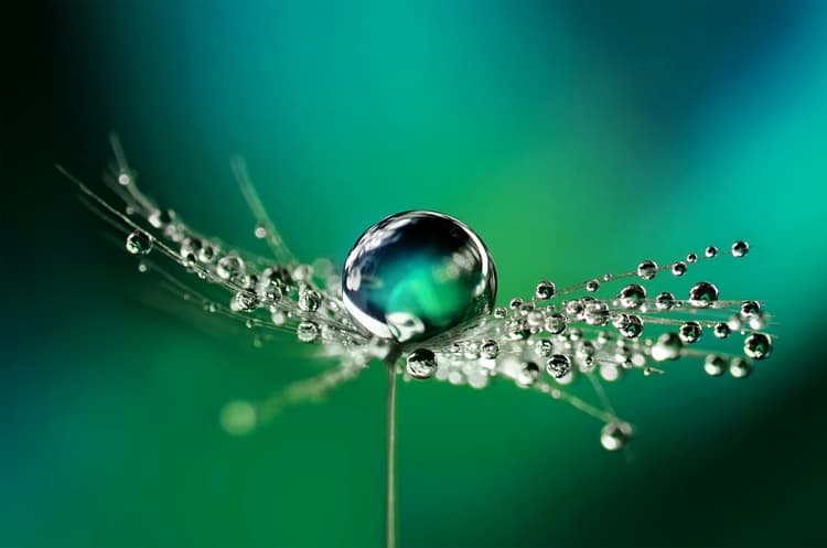 Reduce Carbon Footprints of Aroma Ingredients