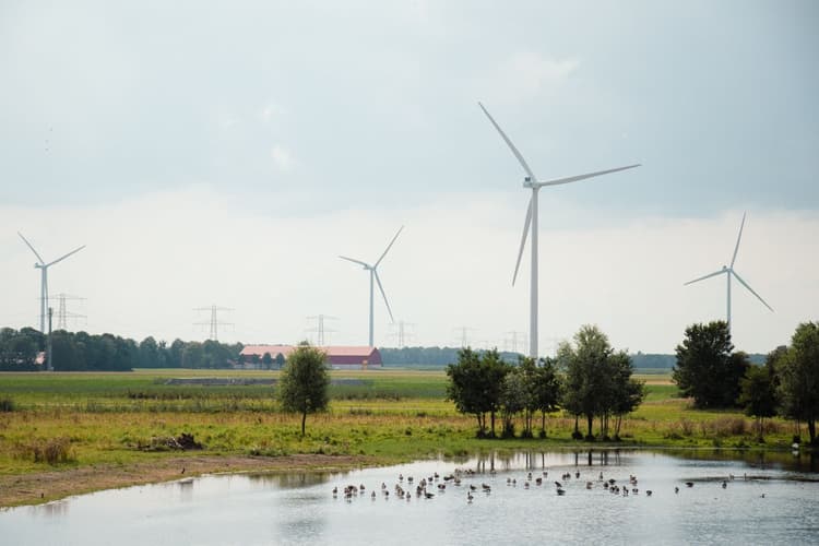 Embed species thresholds into renewable plant operations