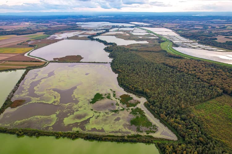 Embed nature-related metrics into sourcing decisions