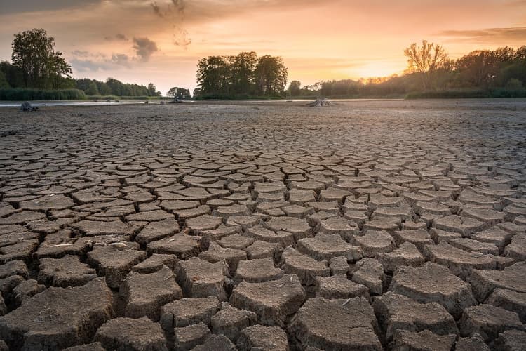 Adapt to drought risks with nature-based solutions