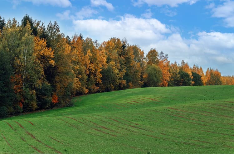 Turn supplier engagement into action for nature