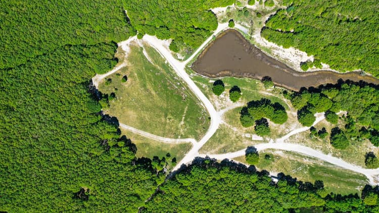 Map biodiversity risk onto the grid to protect wildlife